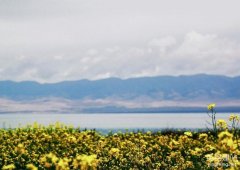 望城企業(yè)建站應該注意哪些內容